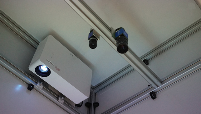 Camera and projector system